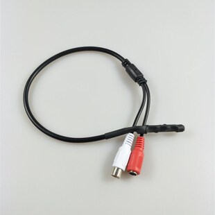 CCTV Audio Pickup